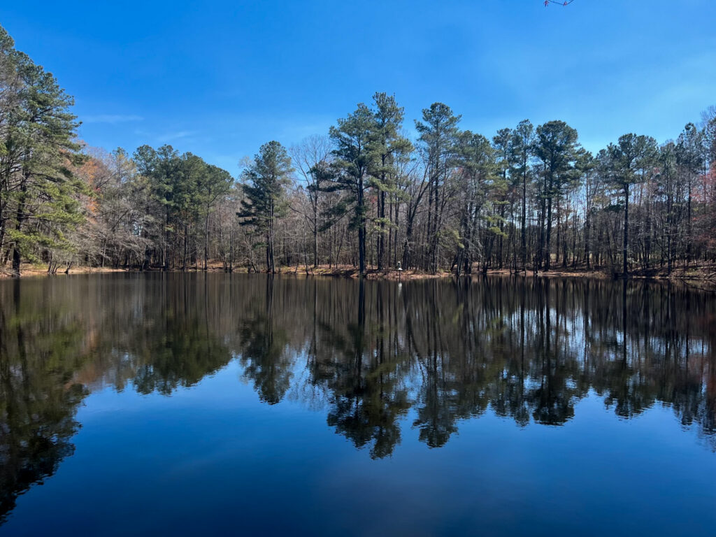 TLC Protects More of Wake County’s “Last Chance to See Landscape” 081A1EDF 8DB7 4864 A7D7 45E08059C06D 3 1