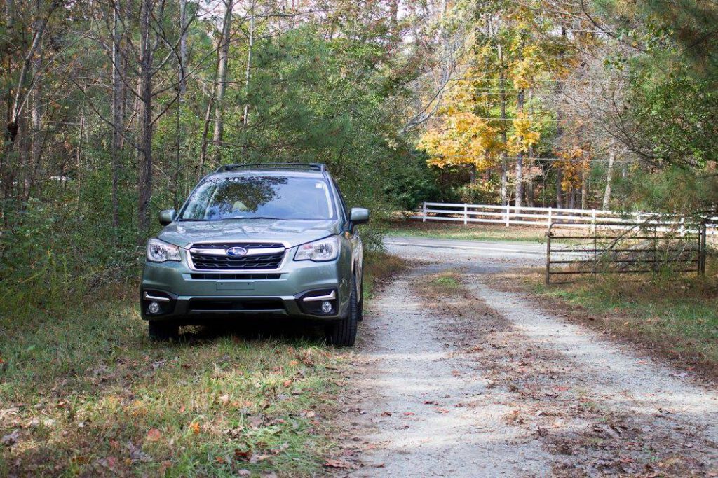 15392815 10154288928288666 7082105836206990686 o 1