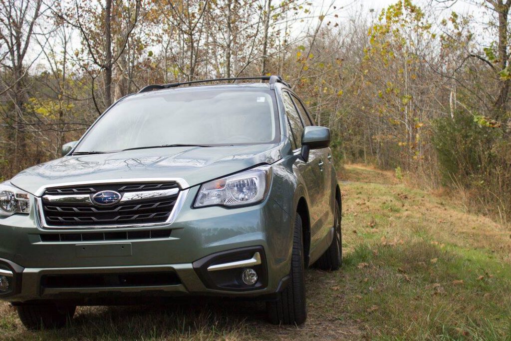 15403848 10154288930753666 6498867294416181280 o 1