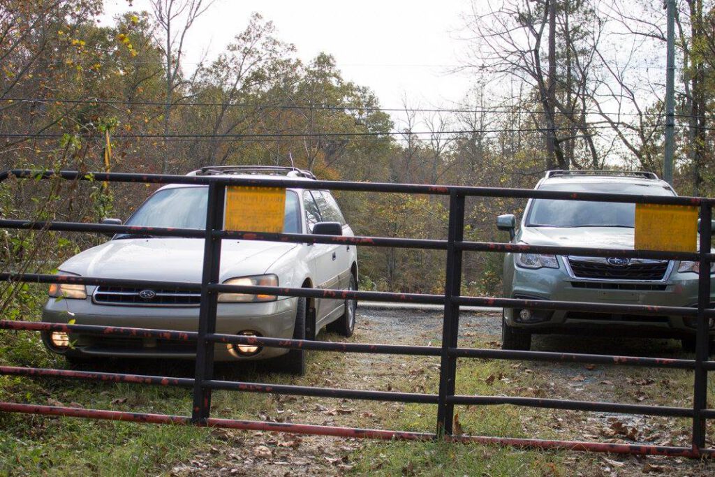 15541039 10154288929633666 363345554225565976 o 1