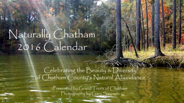Naturally Chatham 2015 Calendar
