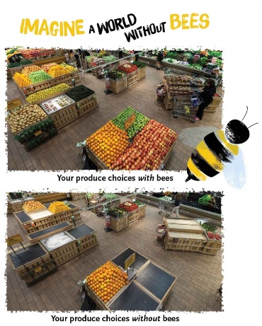 Food without bees