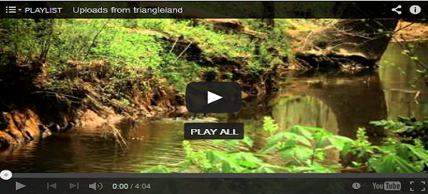 triangle land conservancy