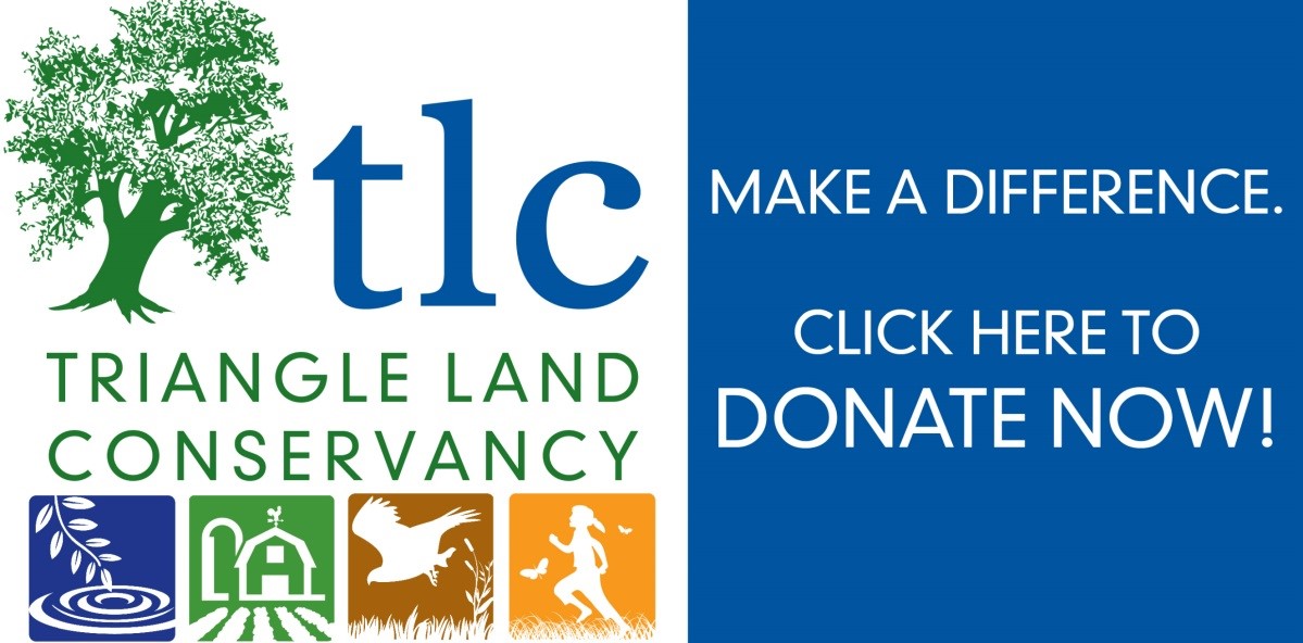 triangle land conservancy