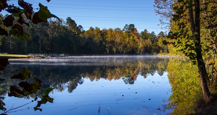Pond Brumley Forest Nature Preserve Orange County NC
