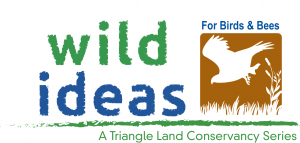 Wild Ideas for Birds and Bees Logo