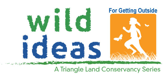 Wild-Ideas-for-Go-Logo web