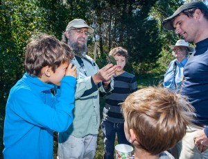 Brumley BioBlitz