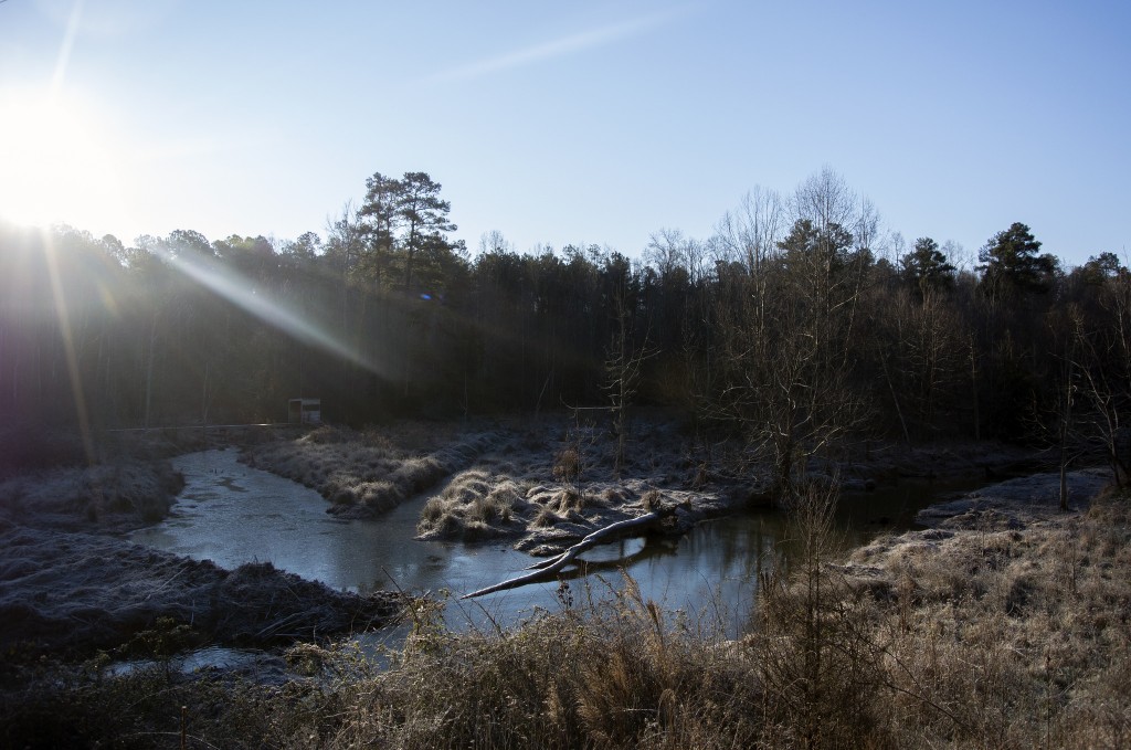 Brumley Forest Nature Preserve January 2016
