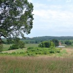Bonlee-Tick Creek Farm in Chatham County