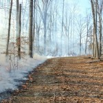 Controlled Burn at Horton Grove Nature Preserve