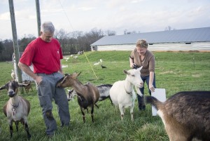 Lindale Farm in Chatham County's Silk Hope community