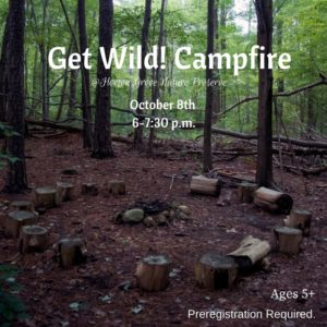 Get Wild! Campfire
