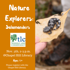 nature-explorers-salamanders