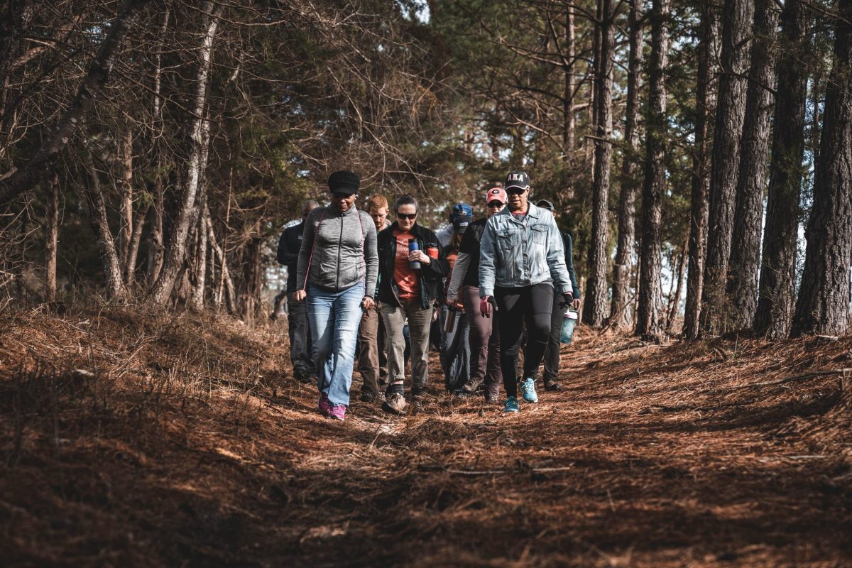 Volunteer at a Nature Preserve Triangle Land Conservancy