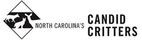 logo - north carolina's candid critters - citizen science projects