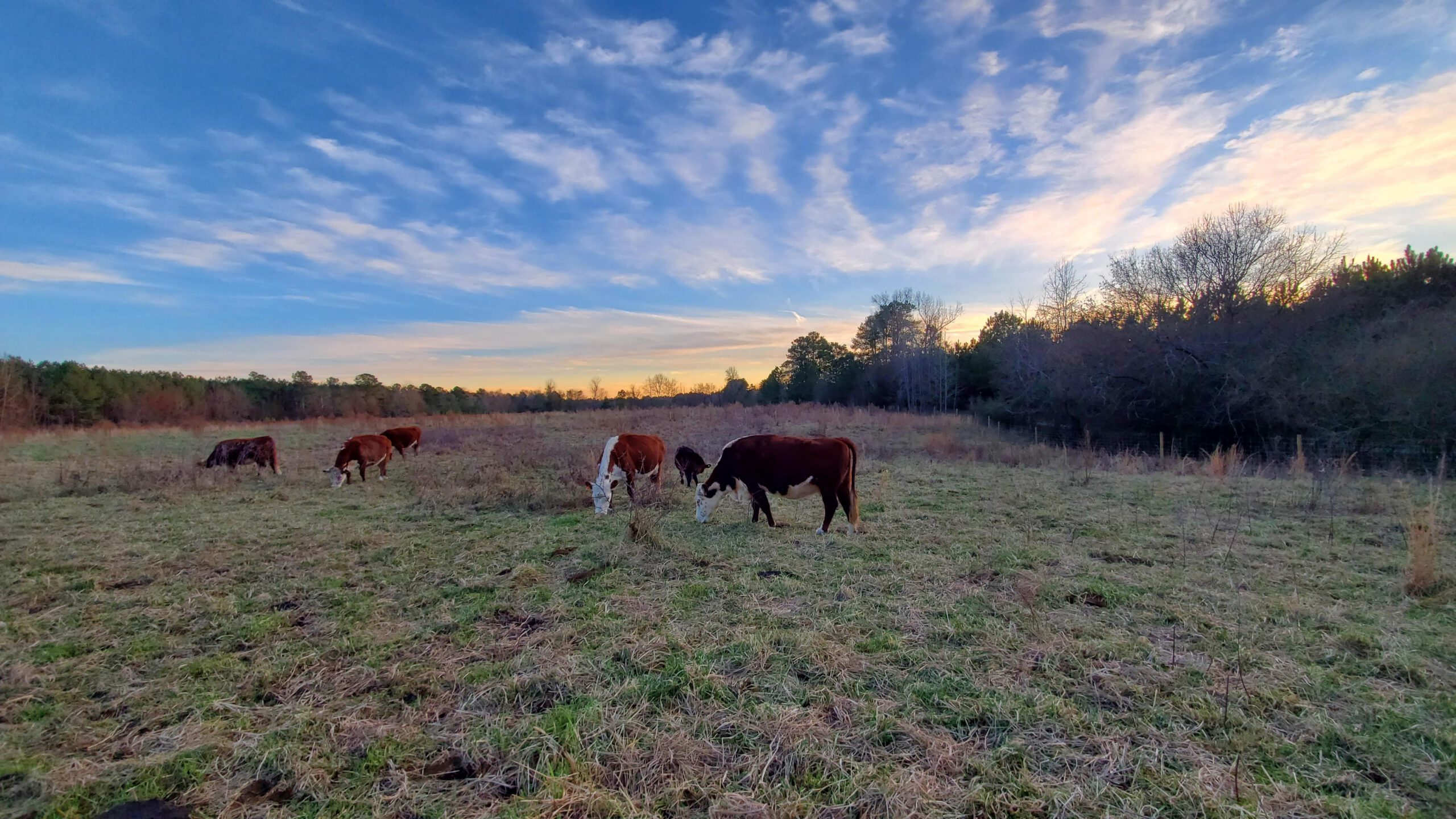 Farming to mitigate the effects of climate change 20200116 171041 1 scaled