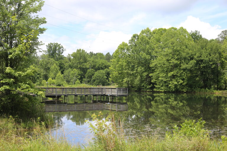 2021 Pond with walkway Brumley South