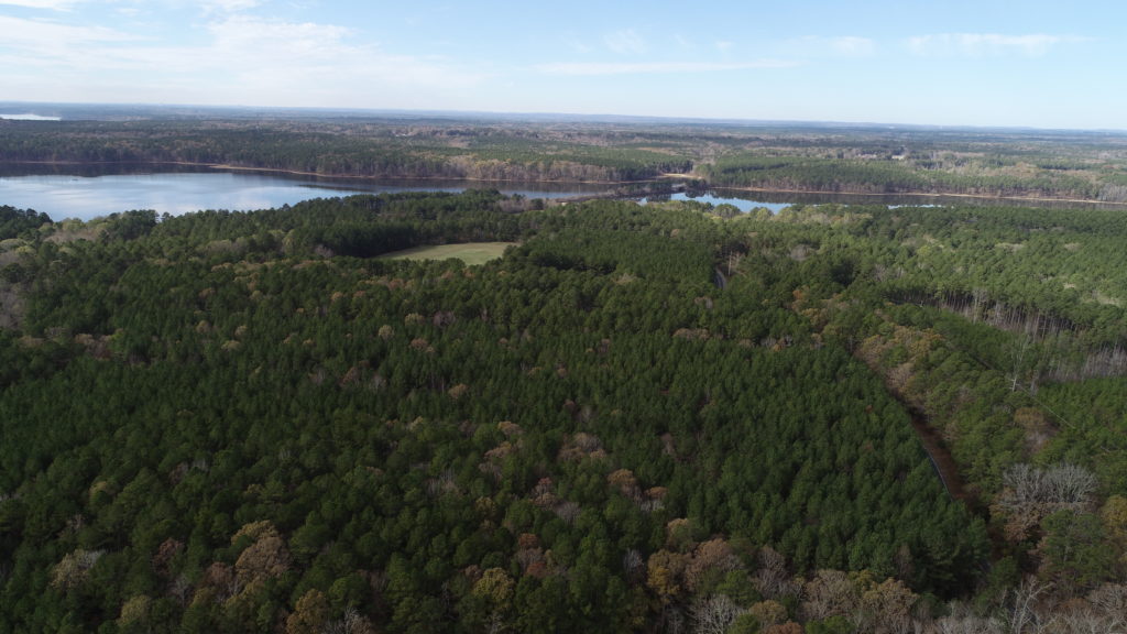 Aerial view of forest landscape with lake in the background.