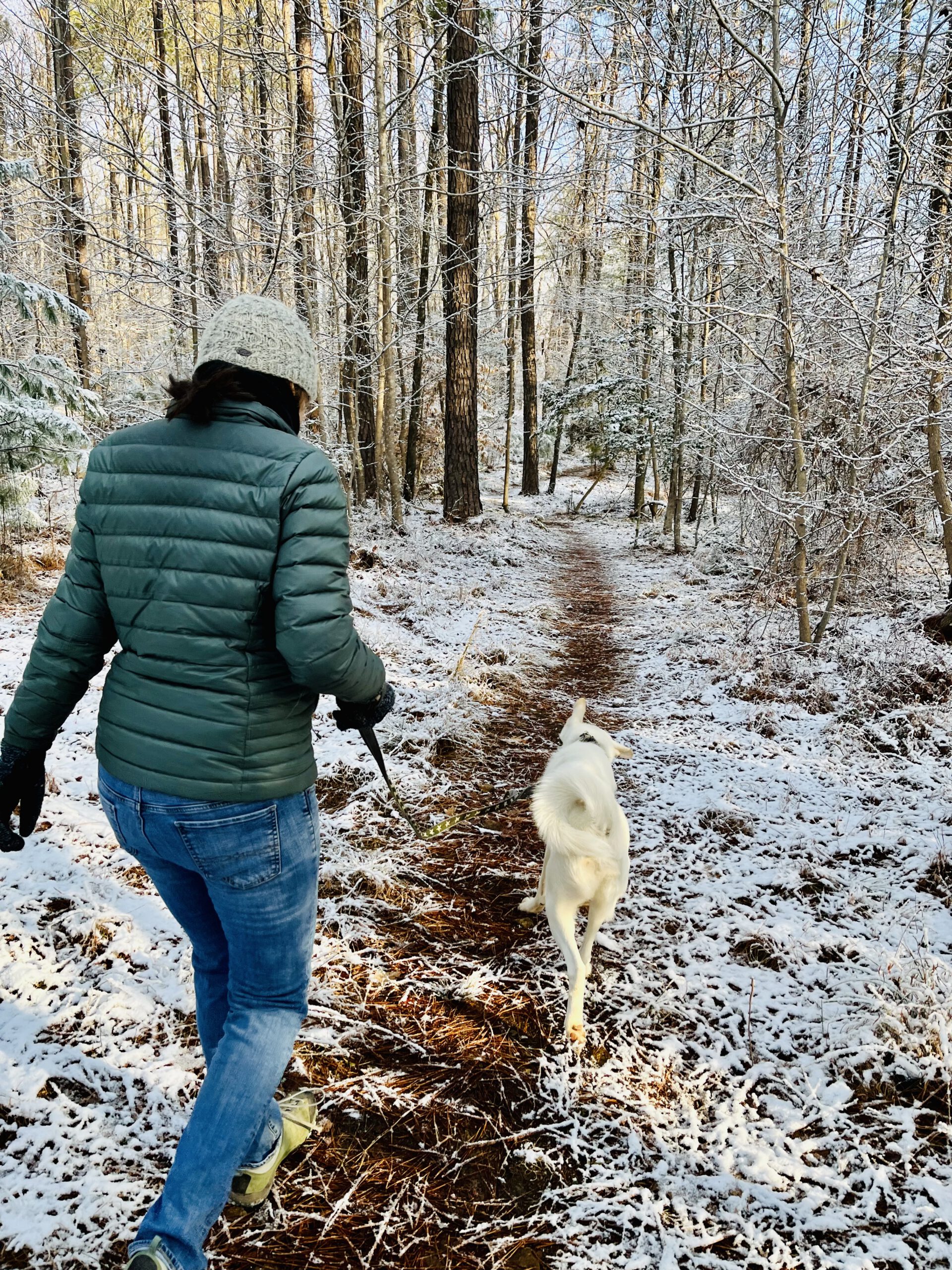 2022 Walker and dog on trail in snow White Pines 1 scaled