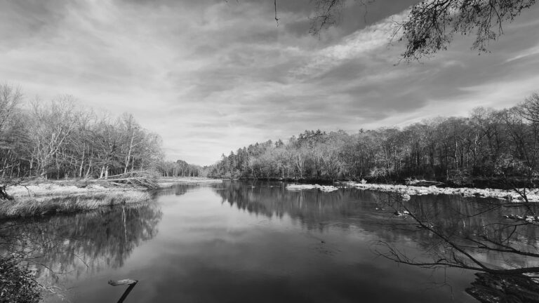 2024 Confluence BW WhitePines 1