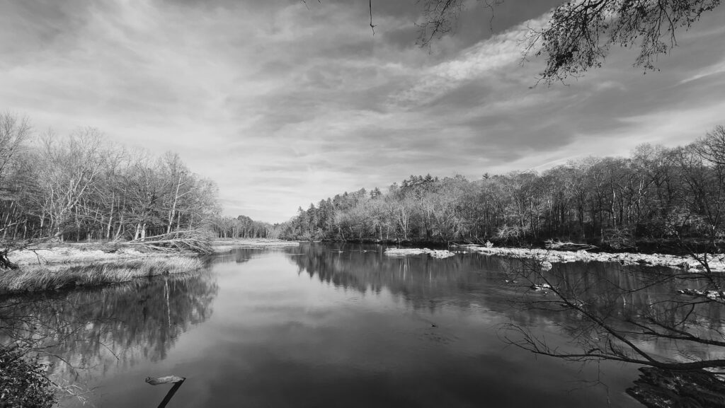 2024 Confluence BW WhitePines