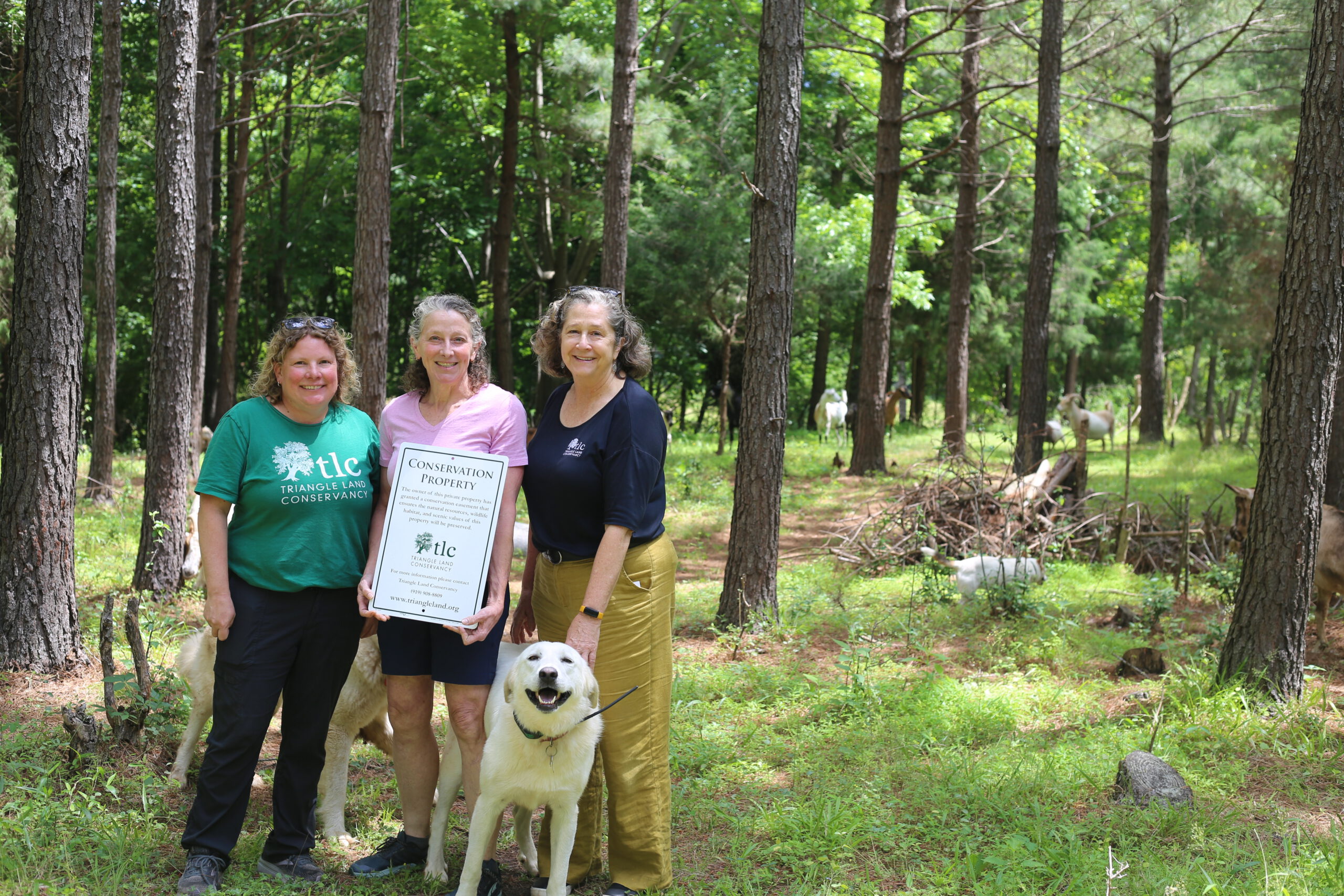 2025 May Walton Farm 4376 1 scaled