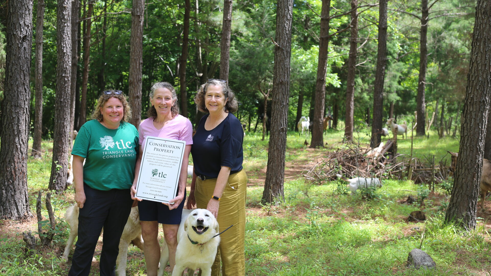 2025 May Walton Farm 4376 2