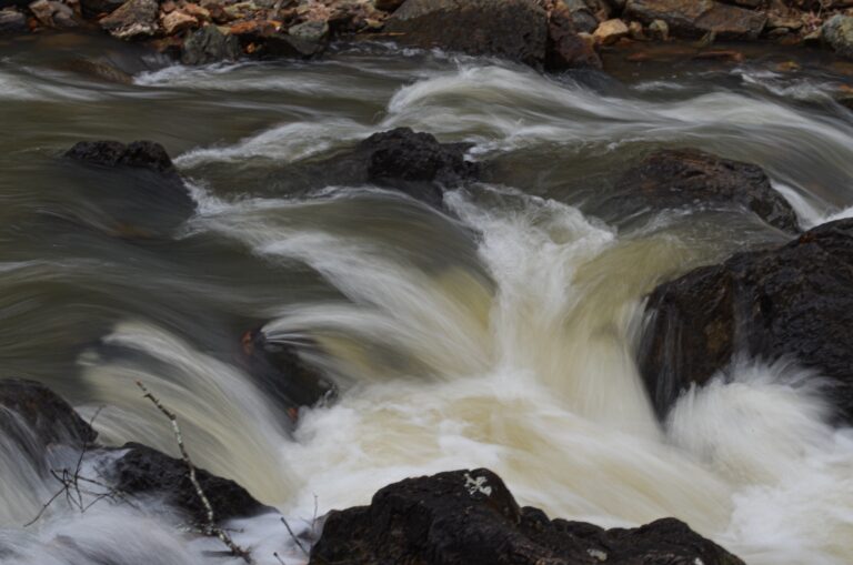 2025 New Hope Creek JohnstonMill