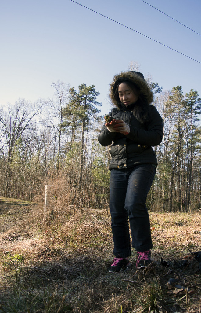 2016 MLK Day of Service