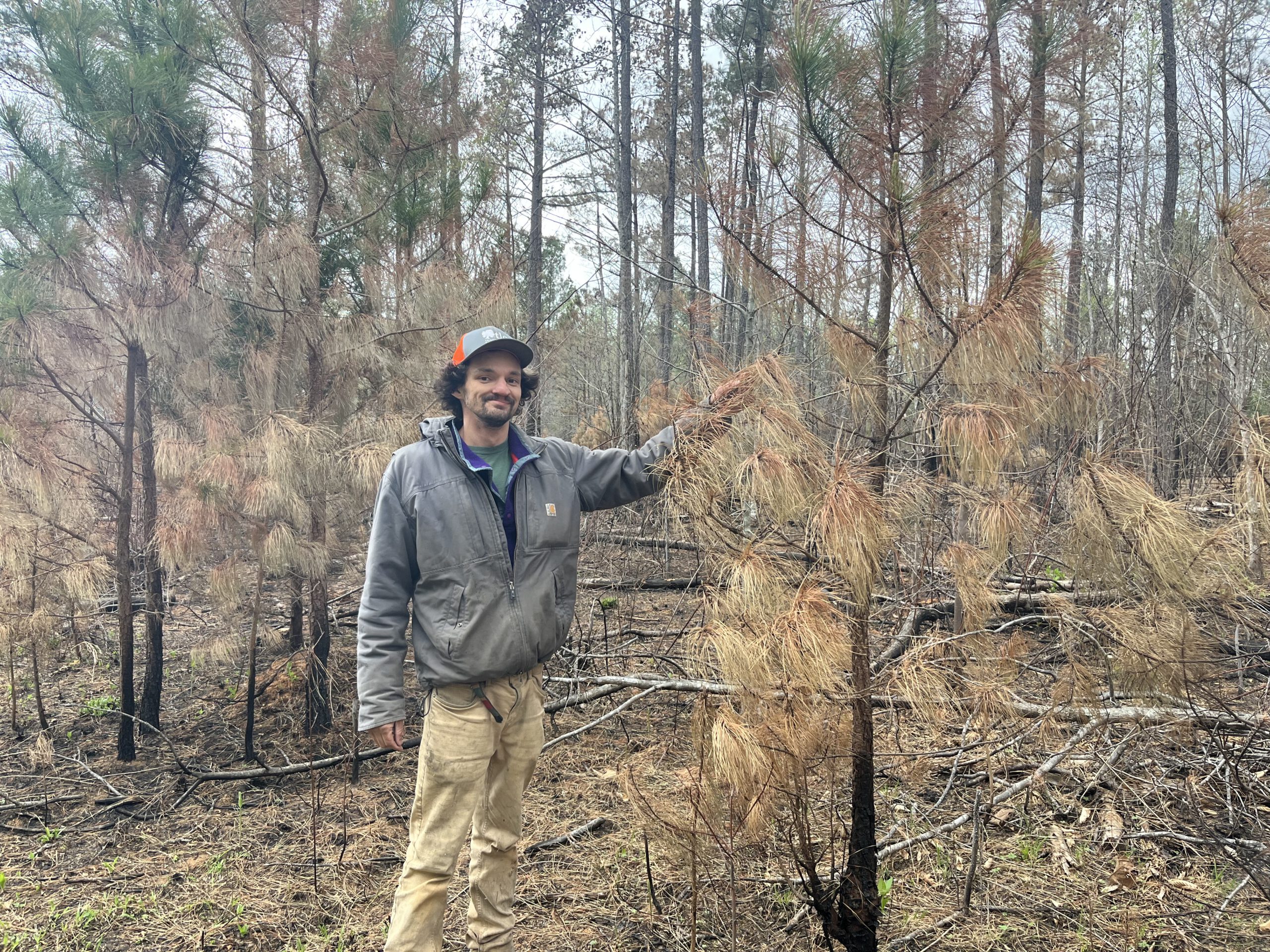 40D03567 D2BF 47E0 8676 851810EA8BA5 1 1 scaled