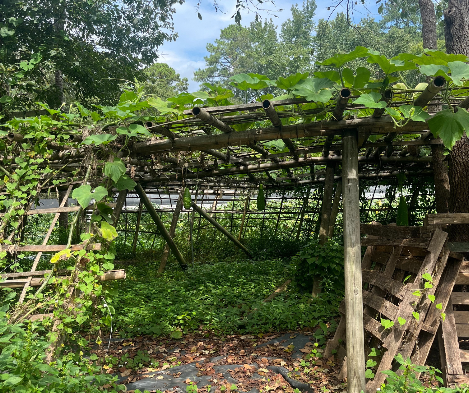 Karen Farmers in the Triangle 7 3