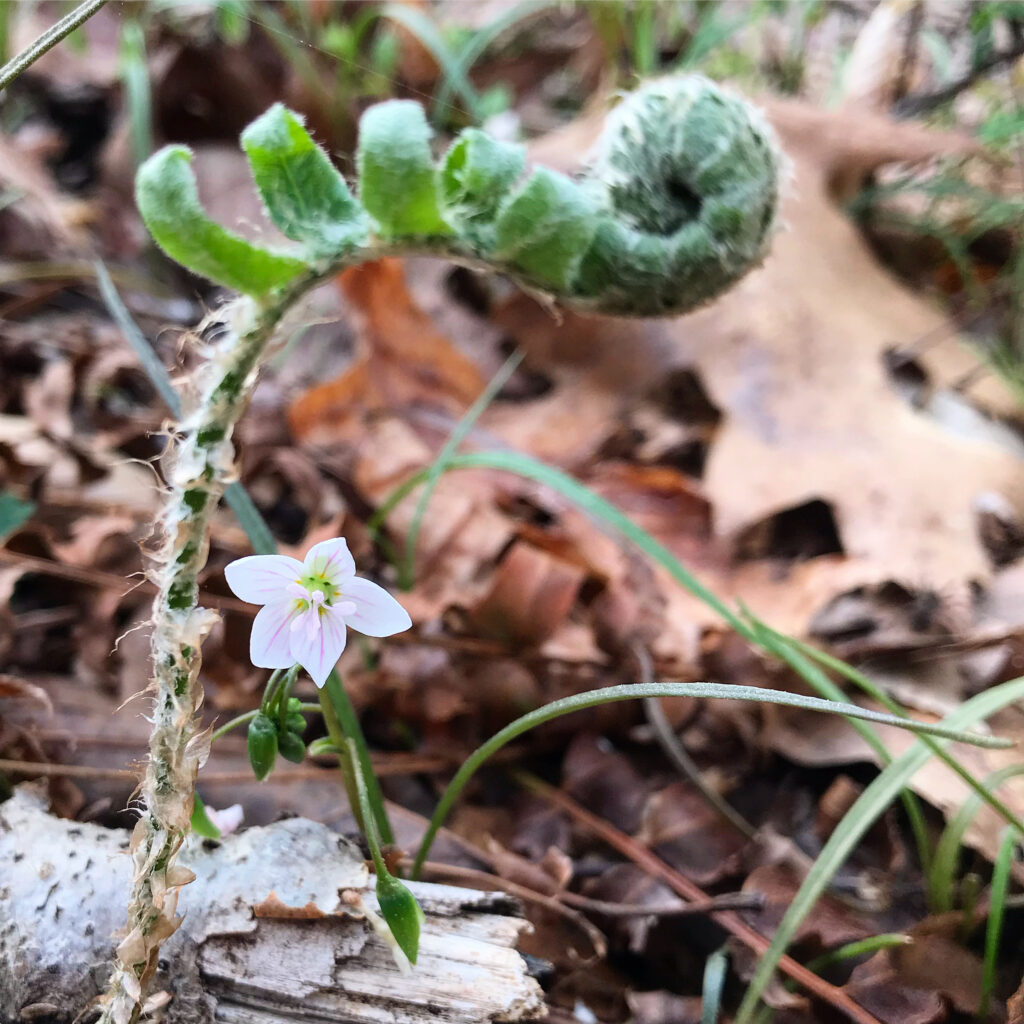 AB156661 AC71 47A1 854D 9D4FB439B7EC 1