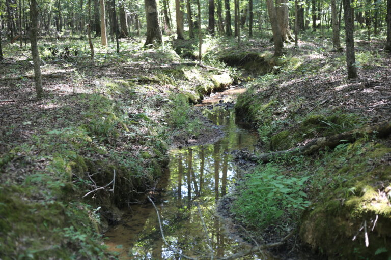 Aug2026 Winding stream bed Mangum