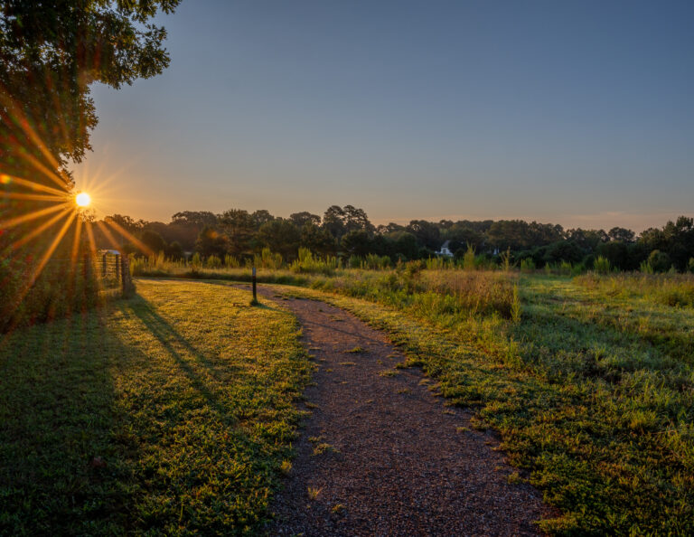 Sunrise casts a warm glow across the trails at Bailey and Sarah Williamson Preserve.