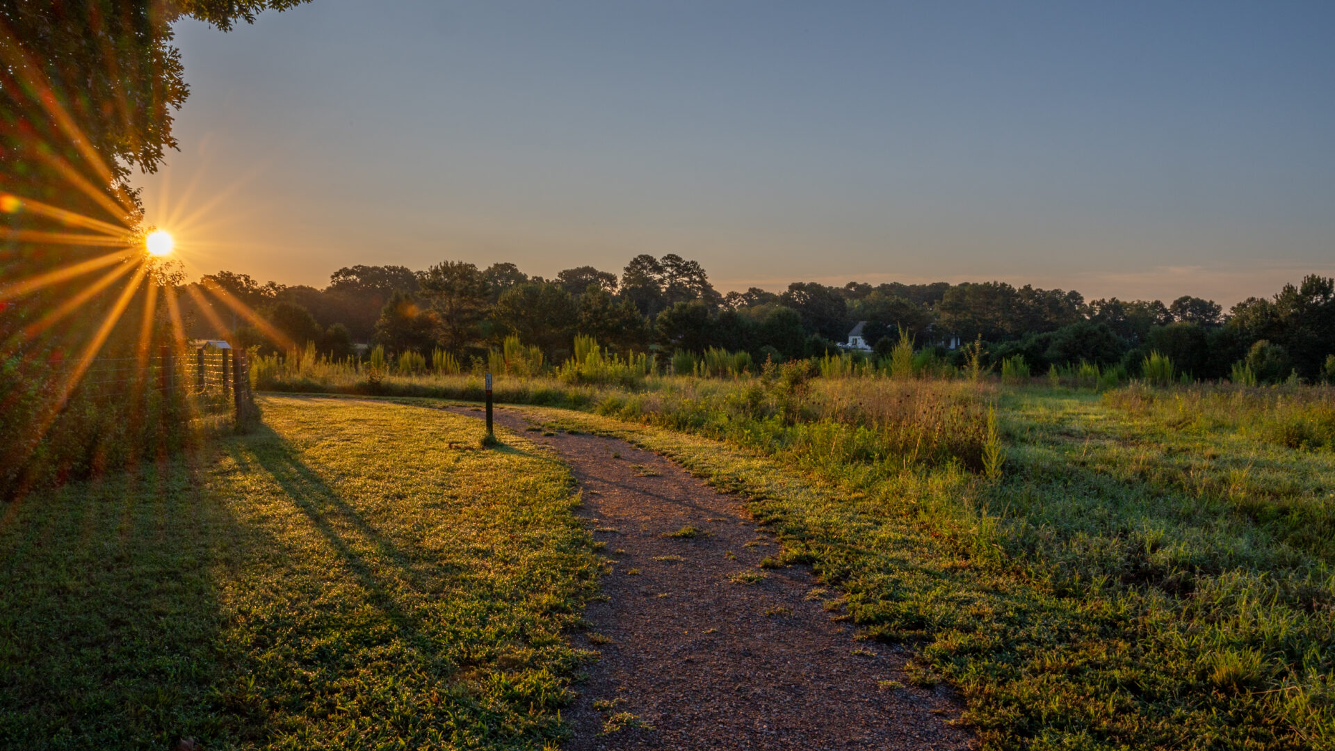 August23 Sunrise on Walnut Hill Way Williamson 3