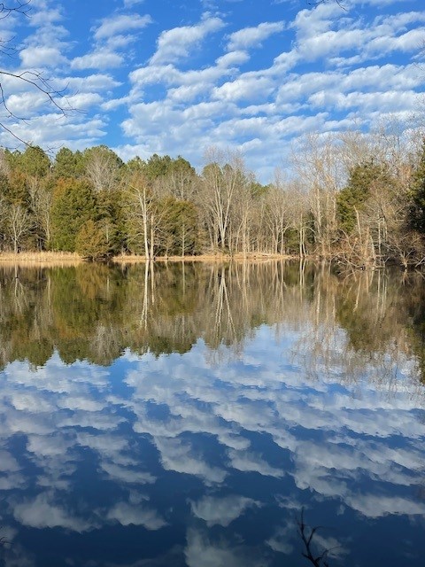 BarbaraSzombatfalvy Brumley Pond 3 1