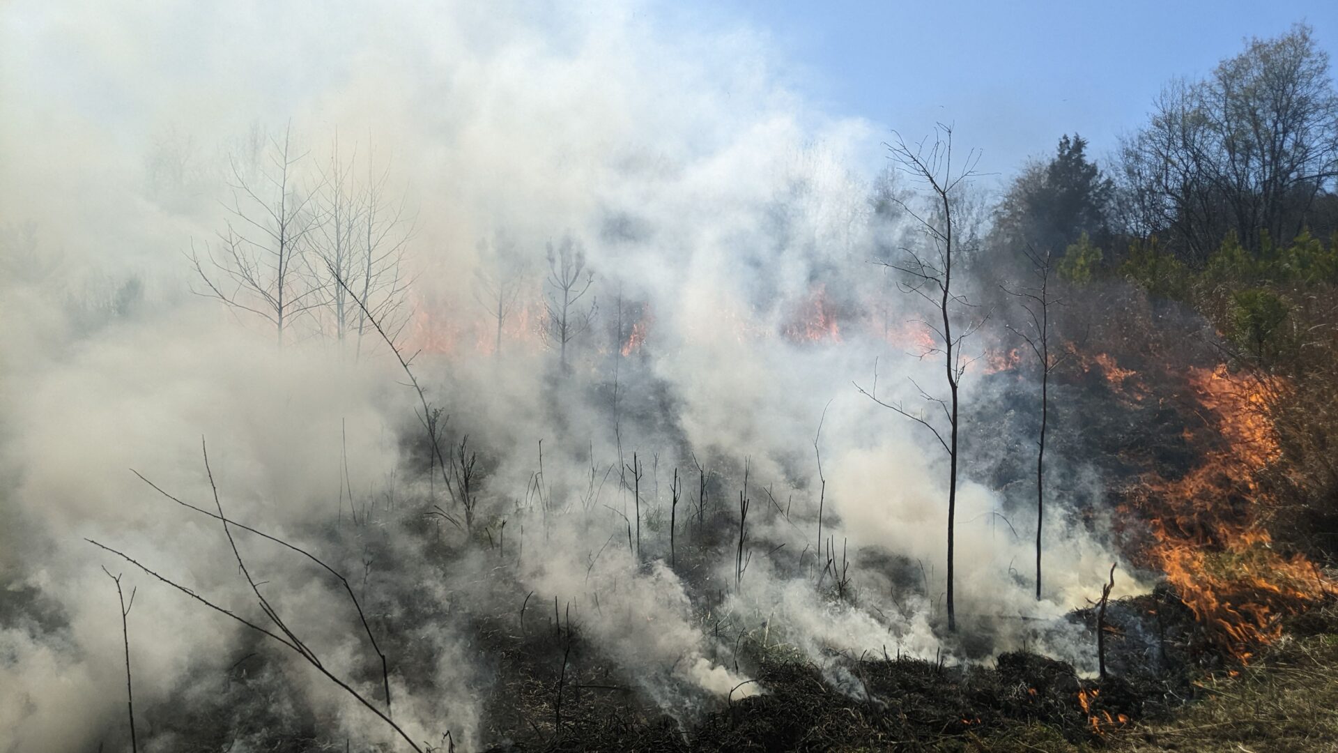 Brumley North Prairie Burn 3 20 23c