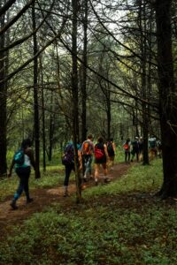 Brumley Misty Morning Hike WOTTHC