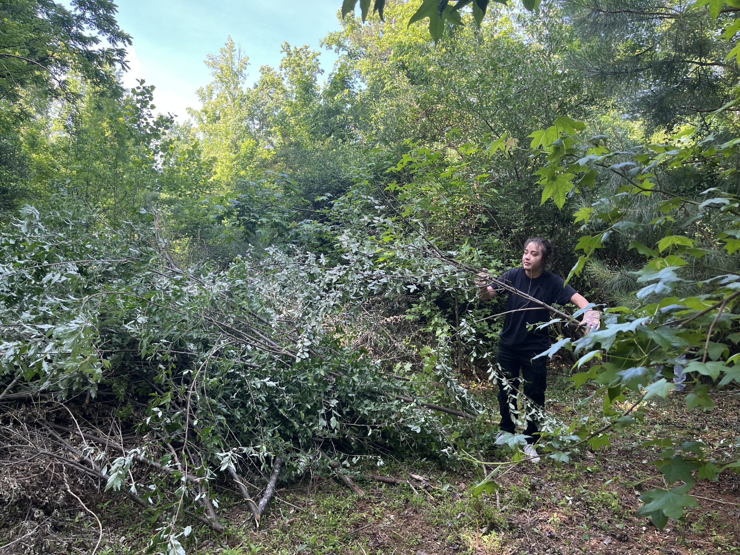 C9BF3531 41F1 4CE0 940E 01D7F456ABBC 1 1 scaled