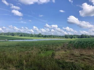 D75BE6F5 DF00 44E3 8BA5 CCA2E9F224AA 1 201 a 1024x768 1 300x225 2