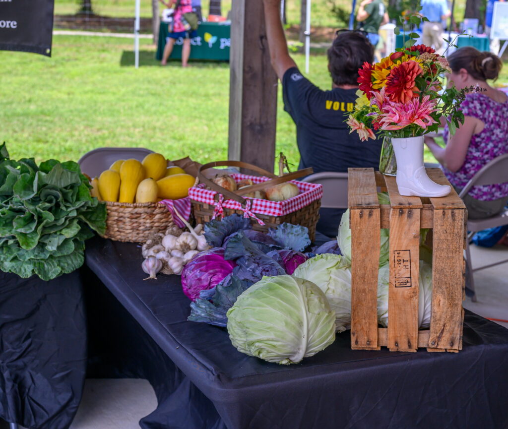 Cultivating a more food secure Triangle DON 1465