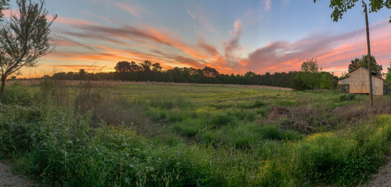 Don Kinney Williamson 1 2 scaled 2