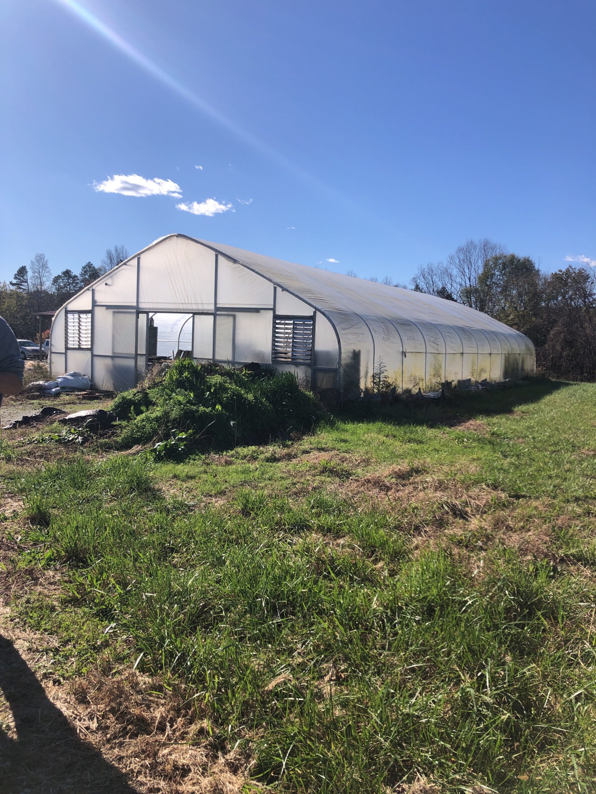 Down 2 Earth 4 2020 11 17 003 1 scaled