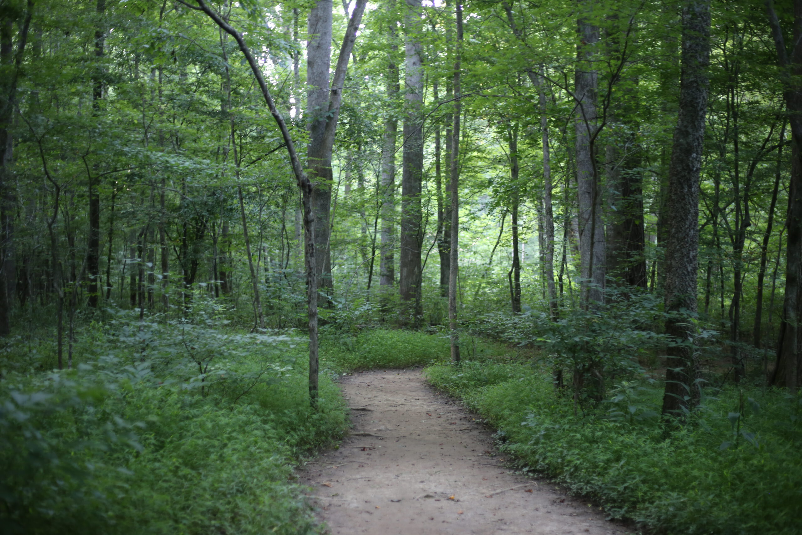 Tell us your Hike TLC experiences! IMG 1279 1 1 scaled