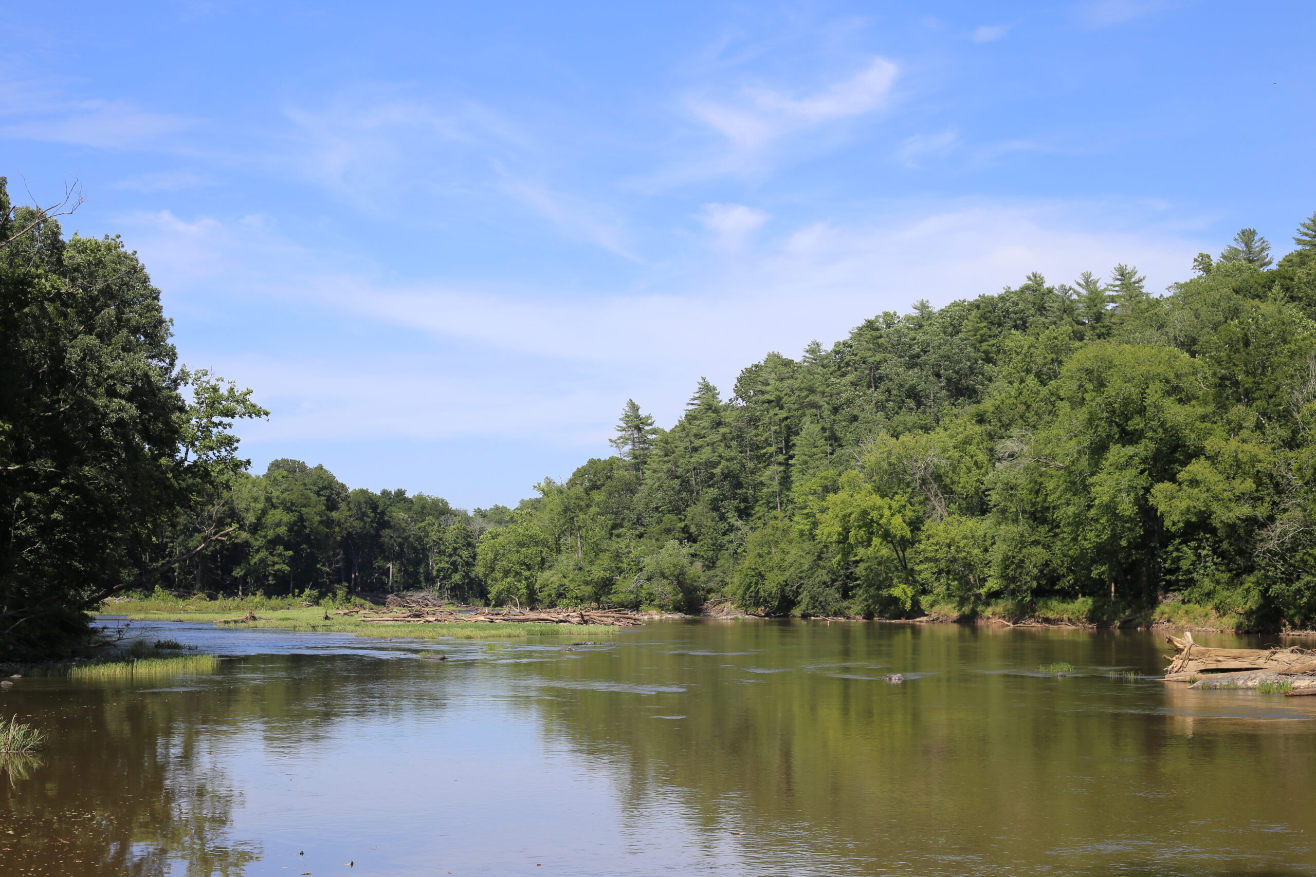 Tour the Triangle on These Favorite TLC Trails IMG 1343 1 scaled