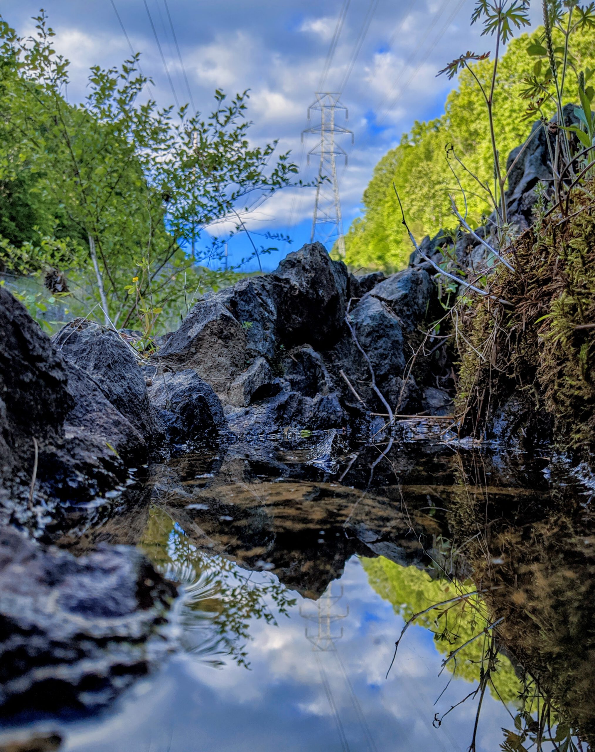 Sharing your #HikeTLC experiences IMG 20200511 182906 1 scaled