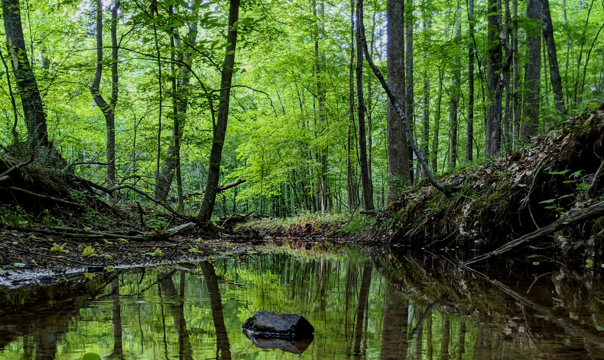 Sharing your #HikeTLC experiences IMG 20200515 173953 1 scaled