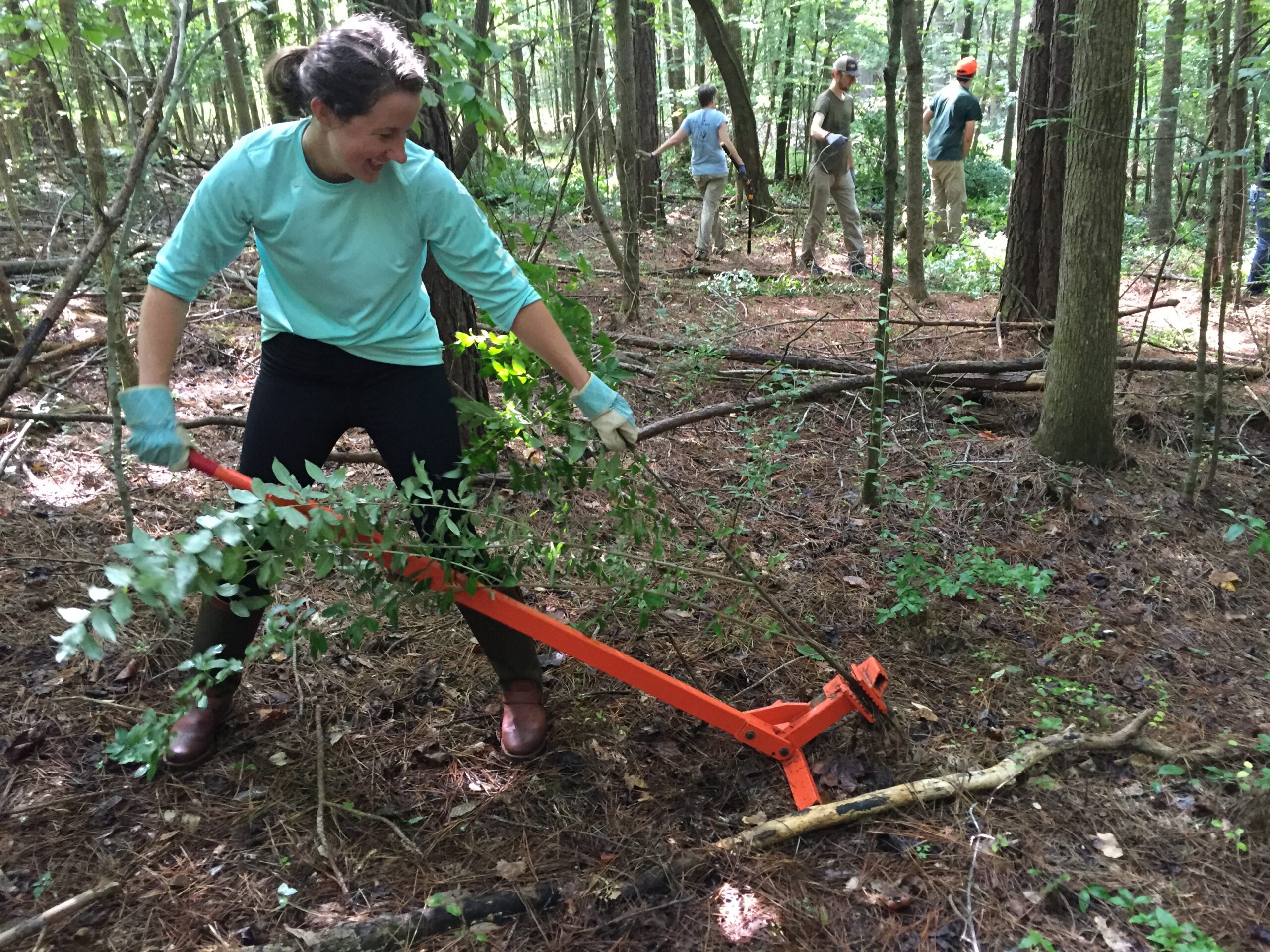 Invasive Species Management IMG 2720 1 scaled