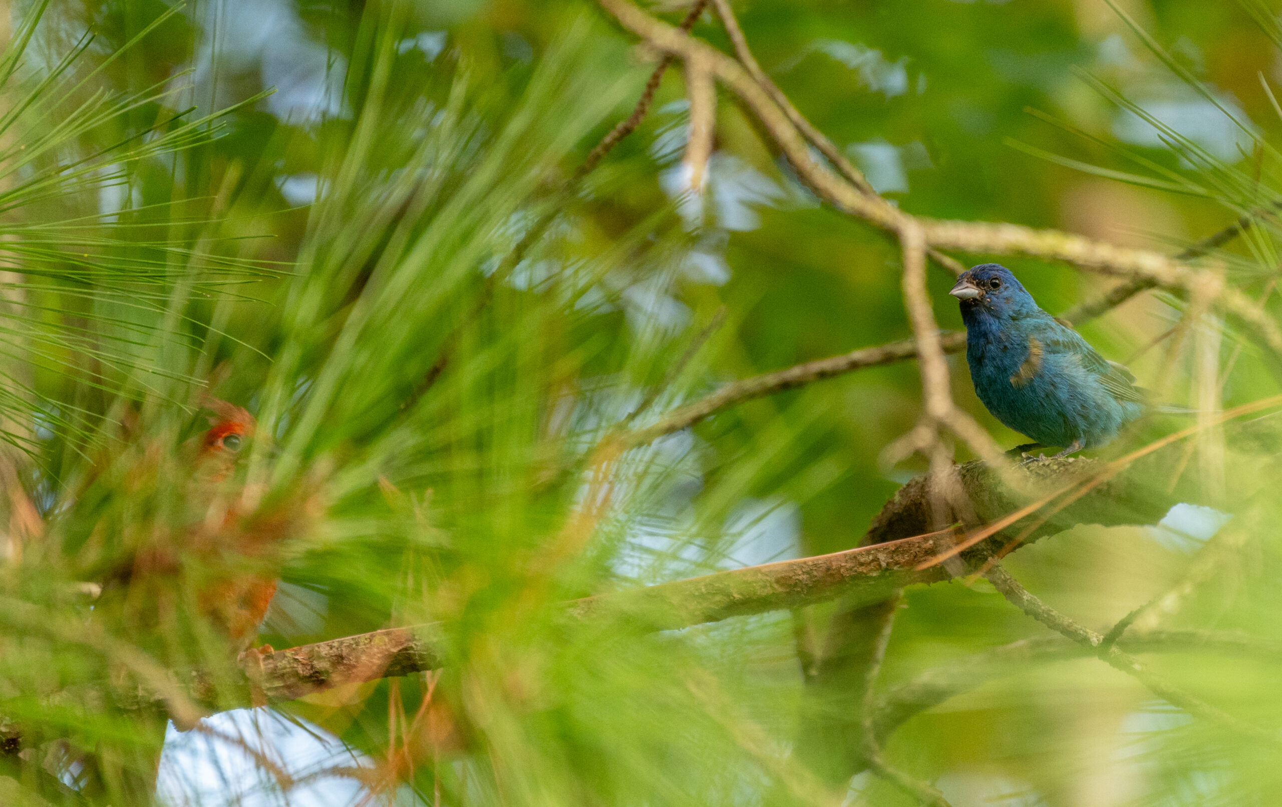 IMG 3015 Copy 1 scaled